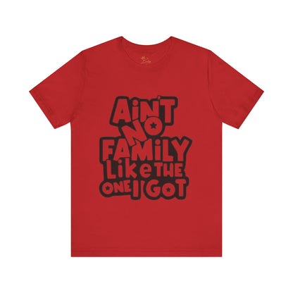 Unisex Aint no family like the one I got Tee